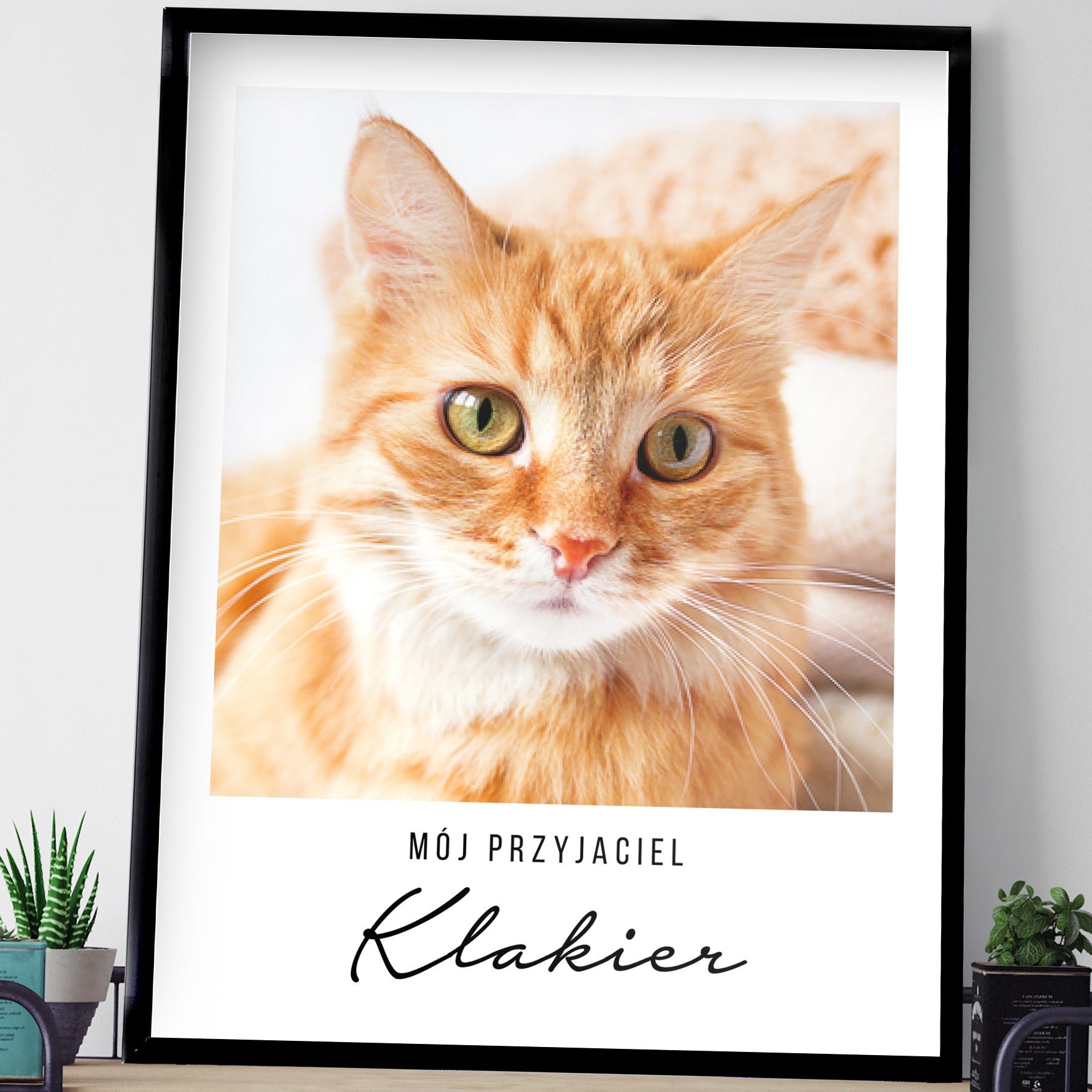 Plakat kota - ze zdjęciem