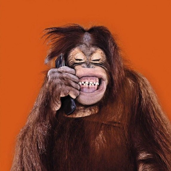 Śmieszna kartka z małpką