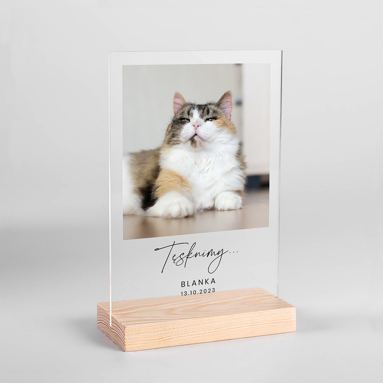 Personalizowana statuetka ze zdjęciem kota - pamiątka po kocie