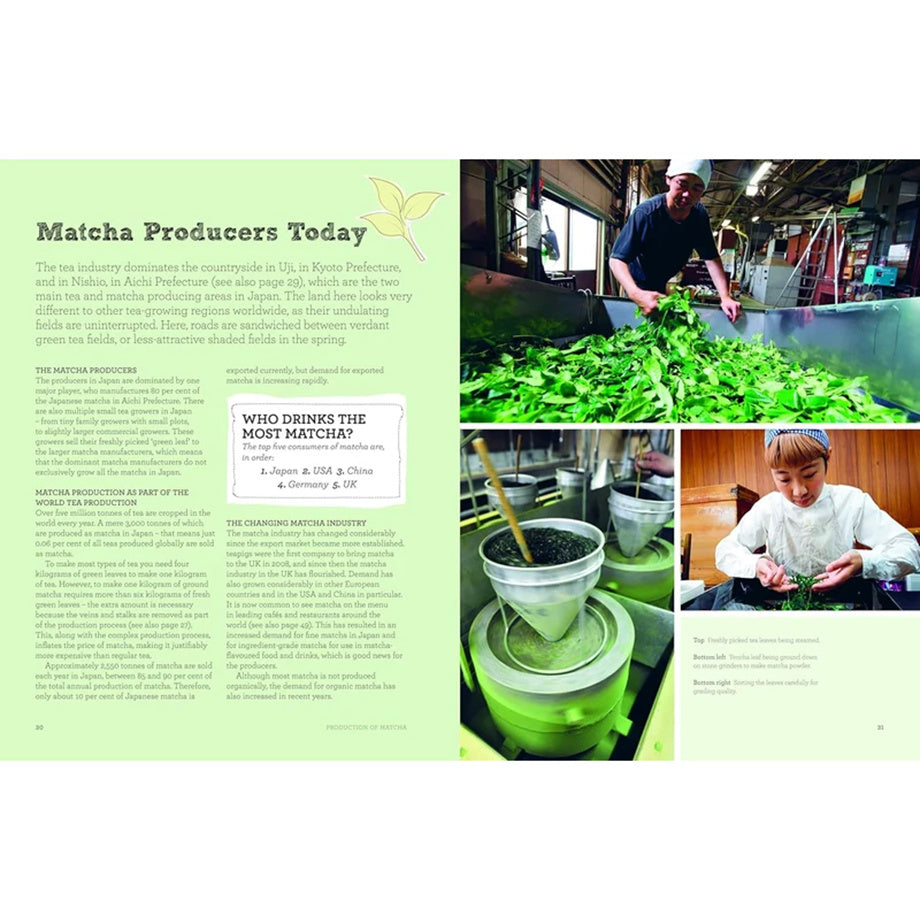 Książka The Book Of Matcha - prezent dla miłośnika matchy