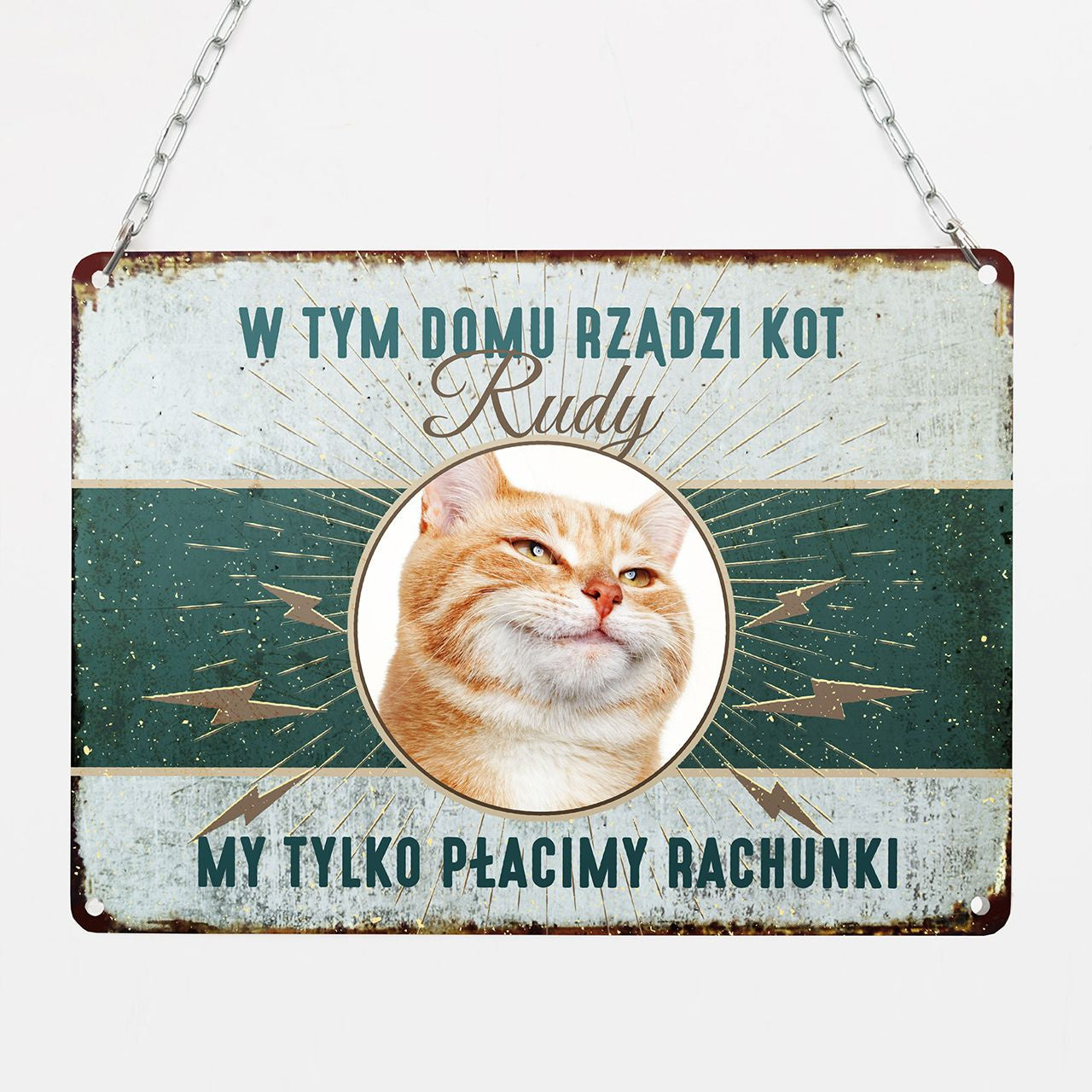 Metalowa tabliczka ze zdjęciem kota