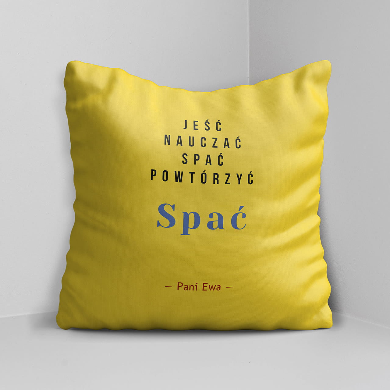 Duża poduszka ze śmiesznym nadrukiem na Dzień Nauczyciela prezent na dzień nauczyciela prezent dla nauczyciela