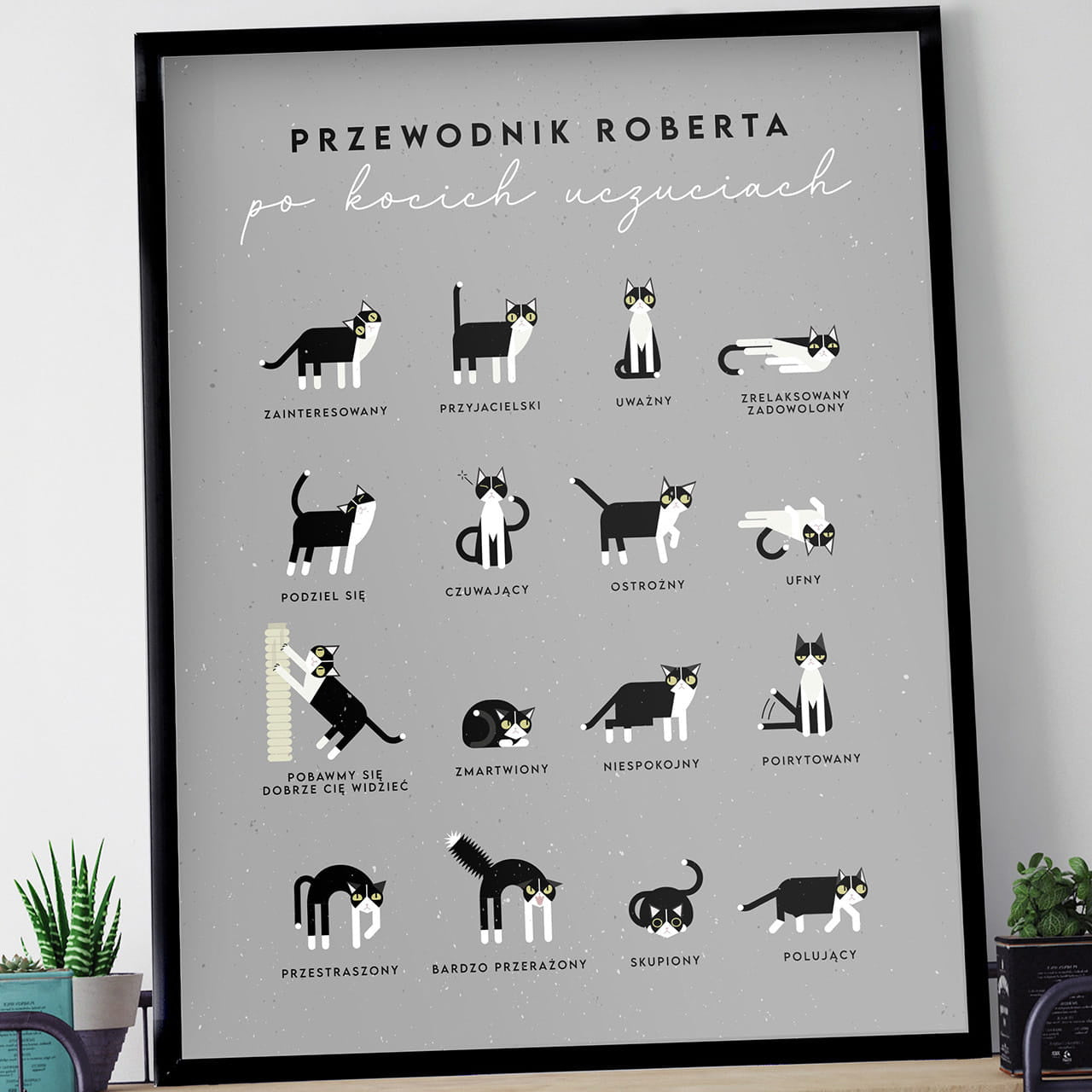 Plakat z kotami