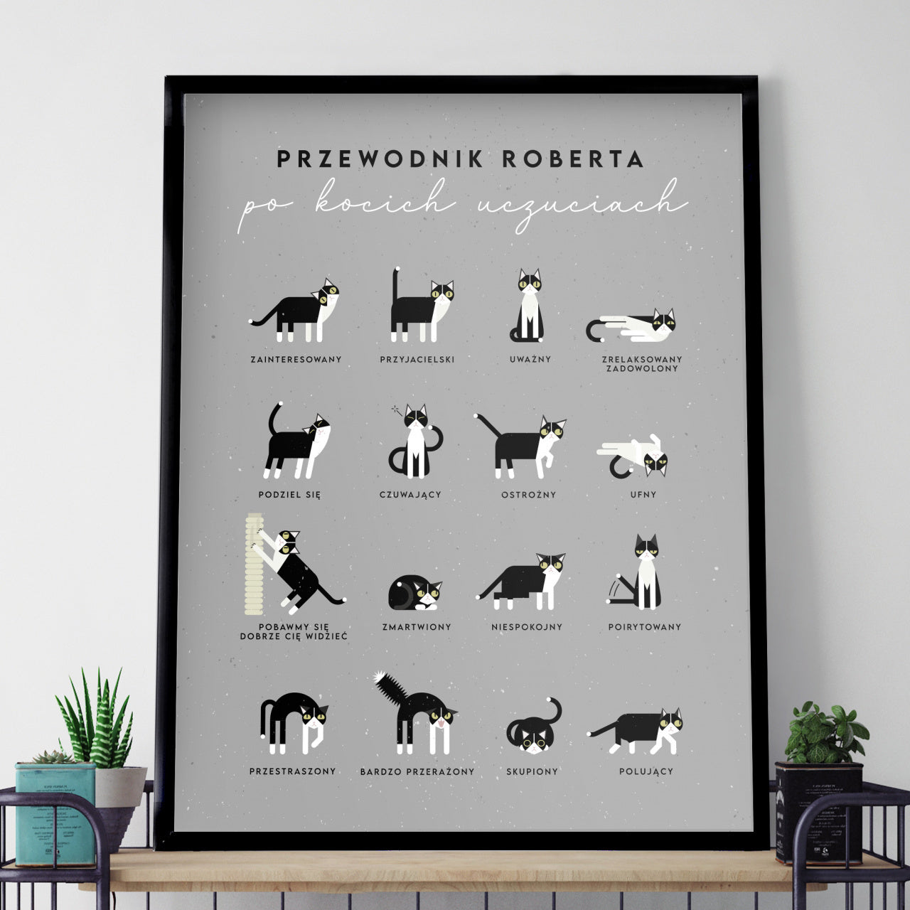 Plakat z kotami