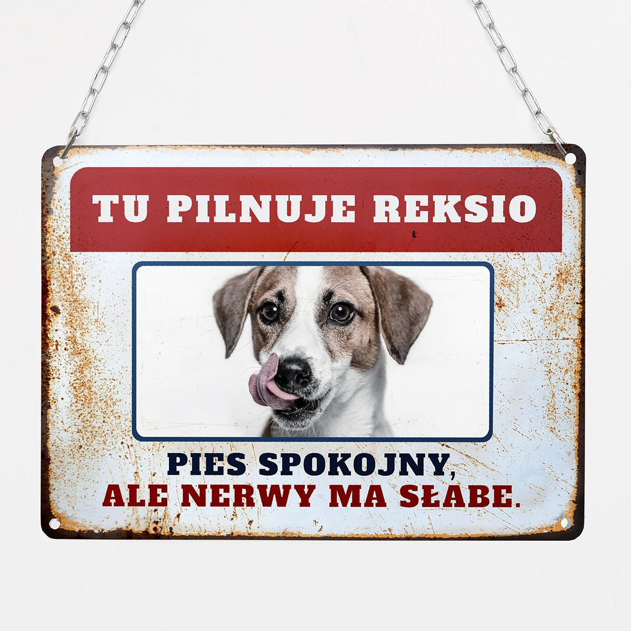 Metalowa tabliczka ze zdjęciem psa