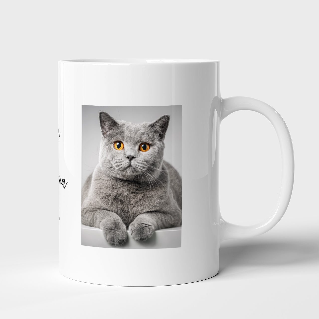 Fotokubek - prezent dla właścicielki kota