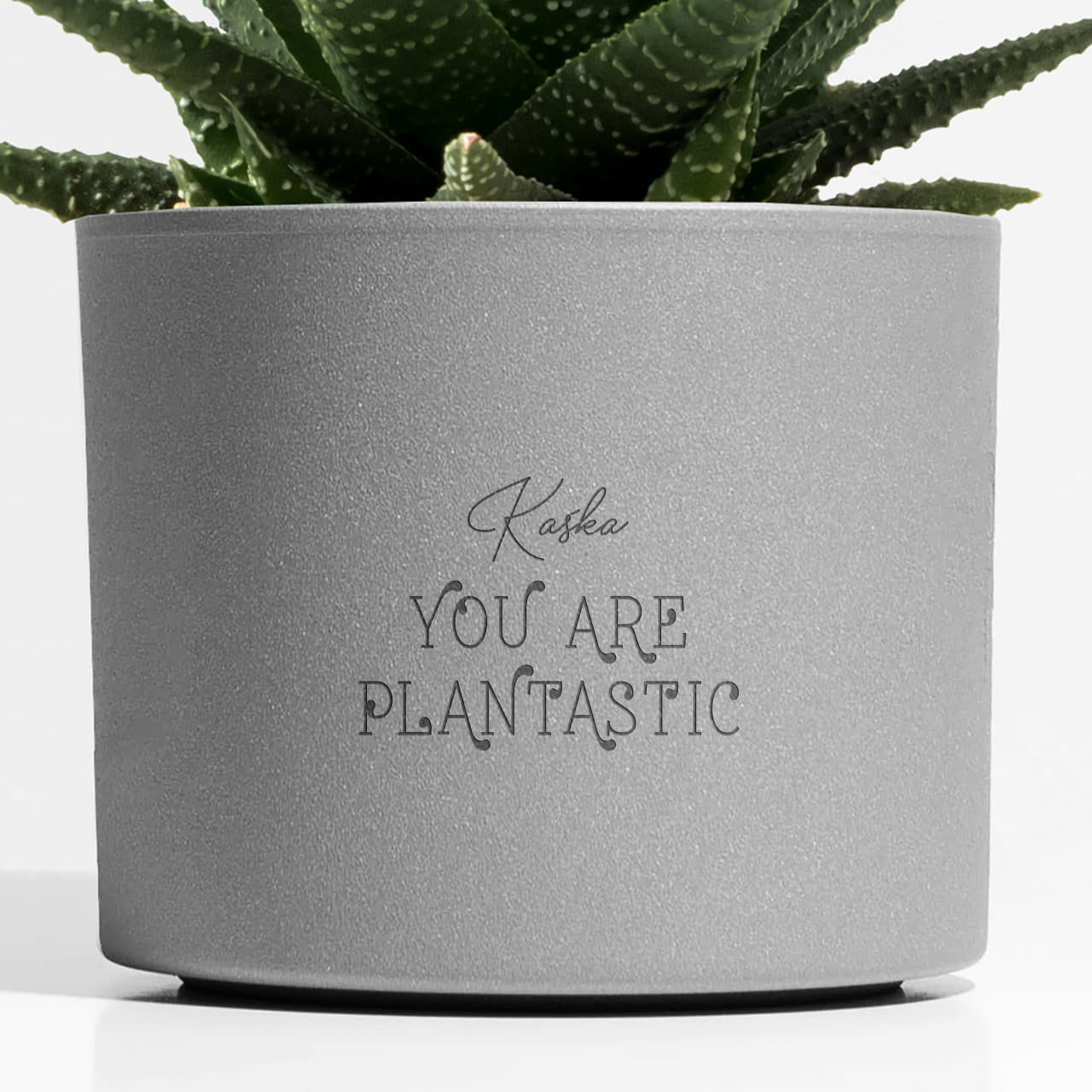 Osłonka na doniczkę z grawerem - plantastic osłonka doniczki osłonka do doniczki prezent dla miłośnika roślin