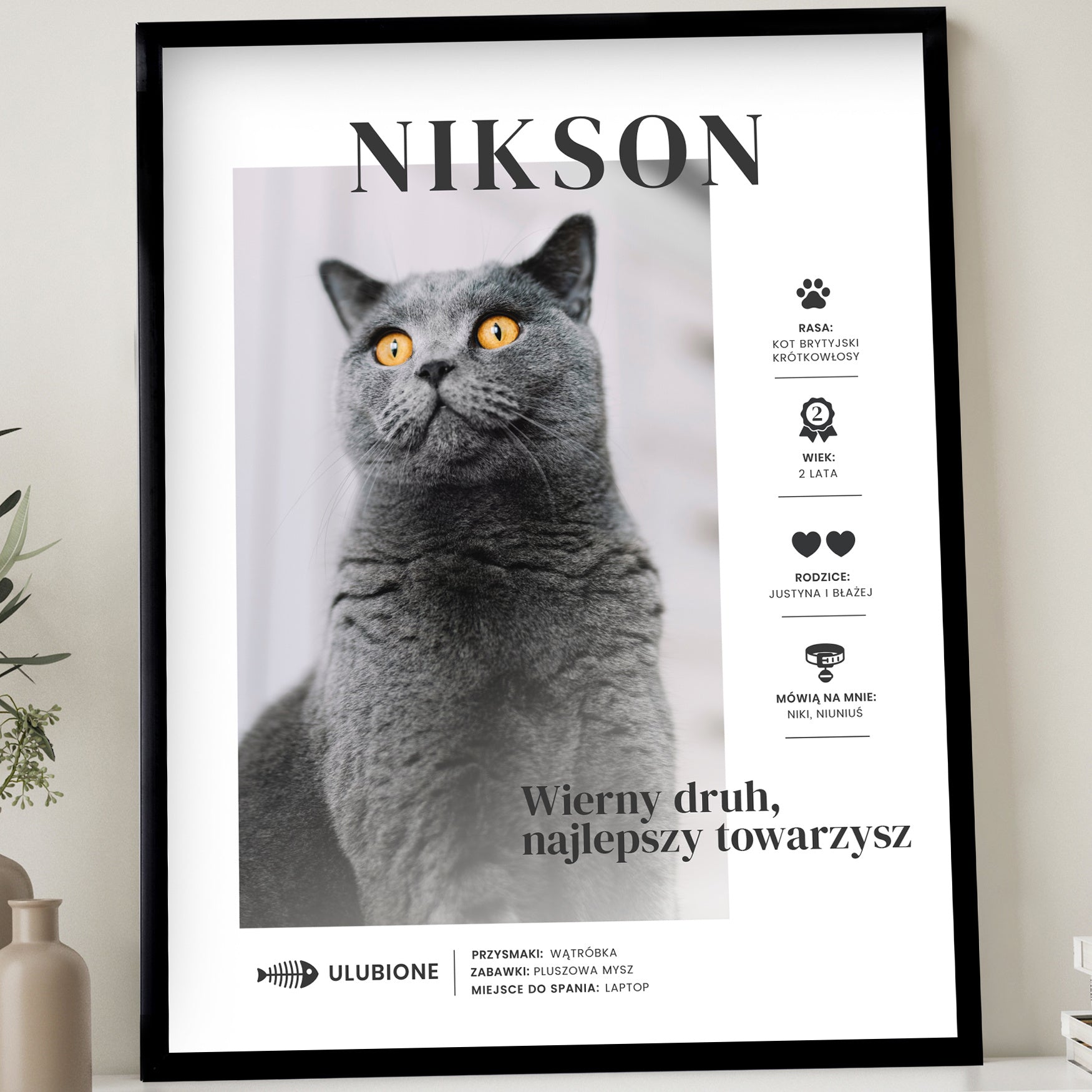 Plakat dla kociarza prezent dla kociarza plakat z kotem prezent dla miłośników kotów prezent dla kociary  