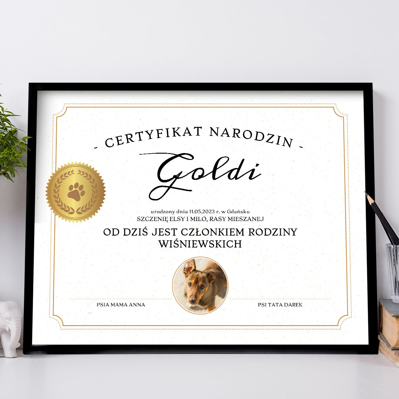 Plakat - certyfikat narodzin psa