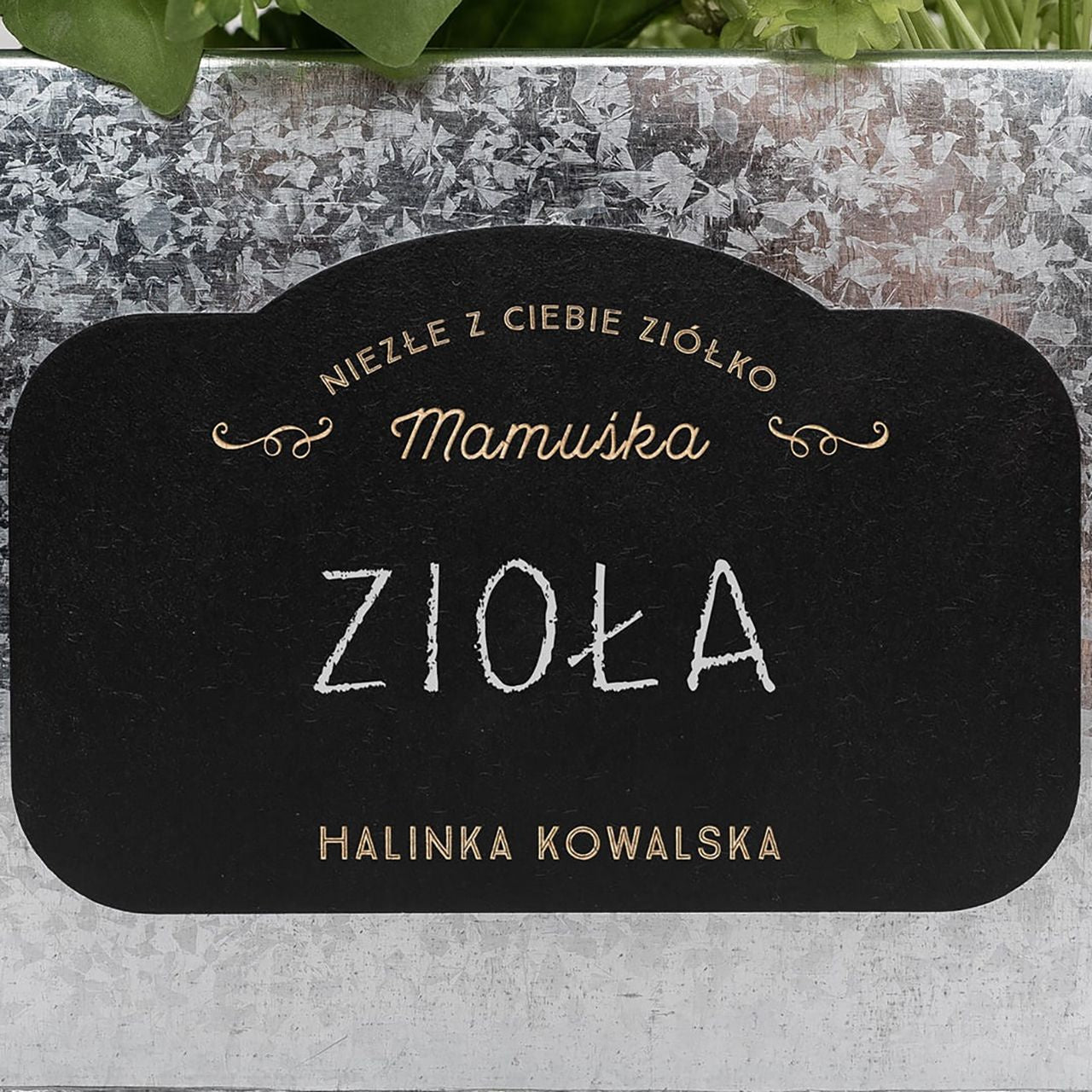 Skrzynka na zioła metalowa - Niezłe Ziółko