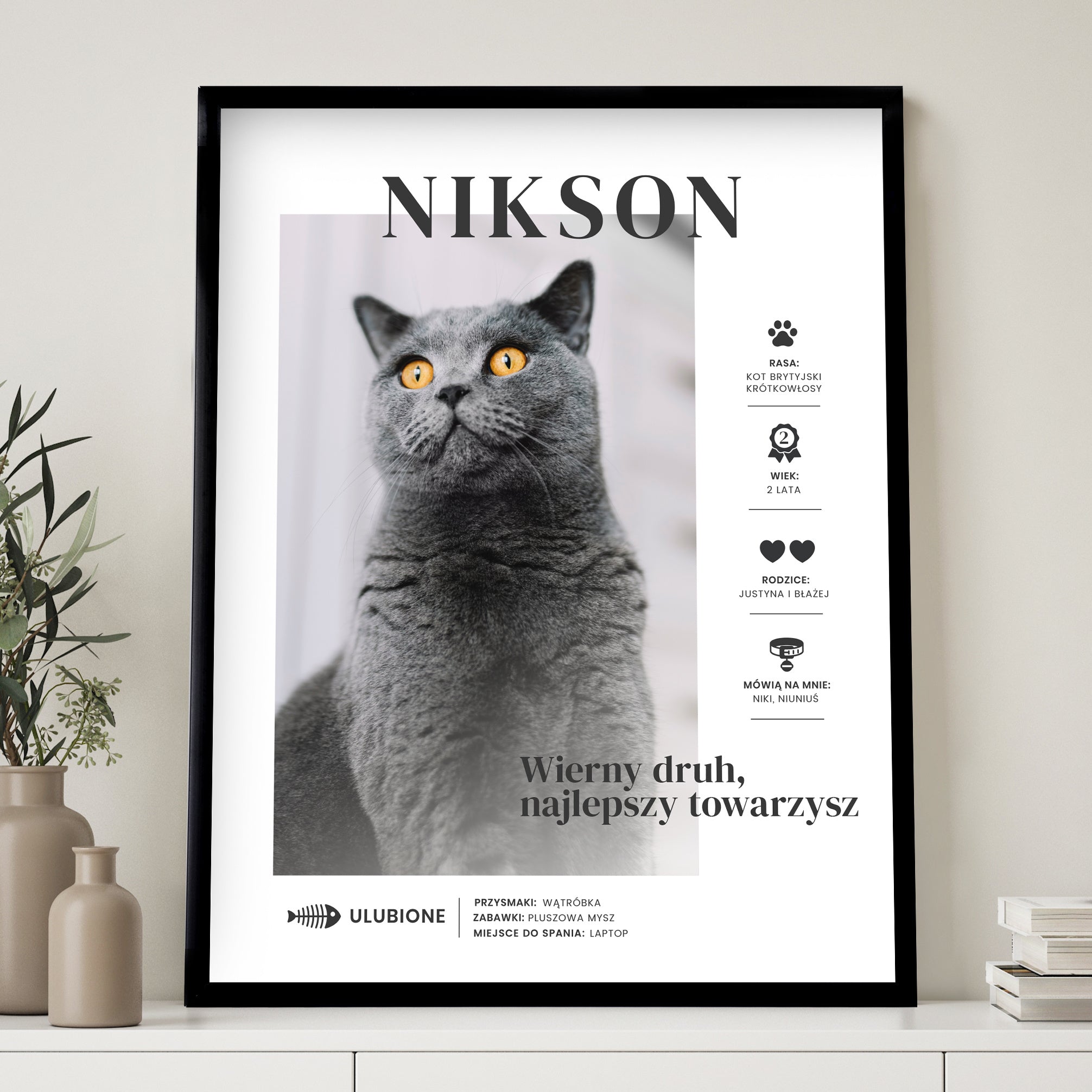 Plakat dla kociarza