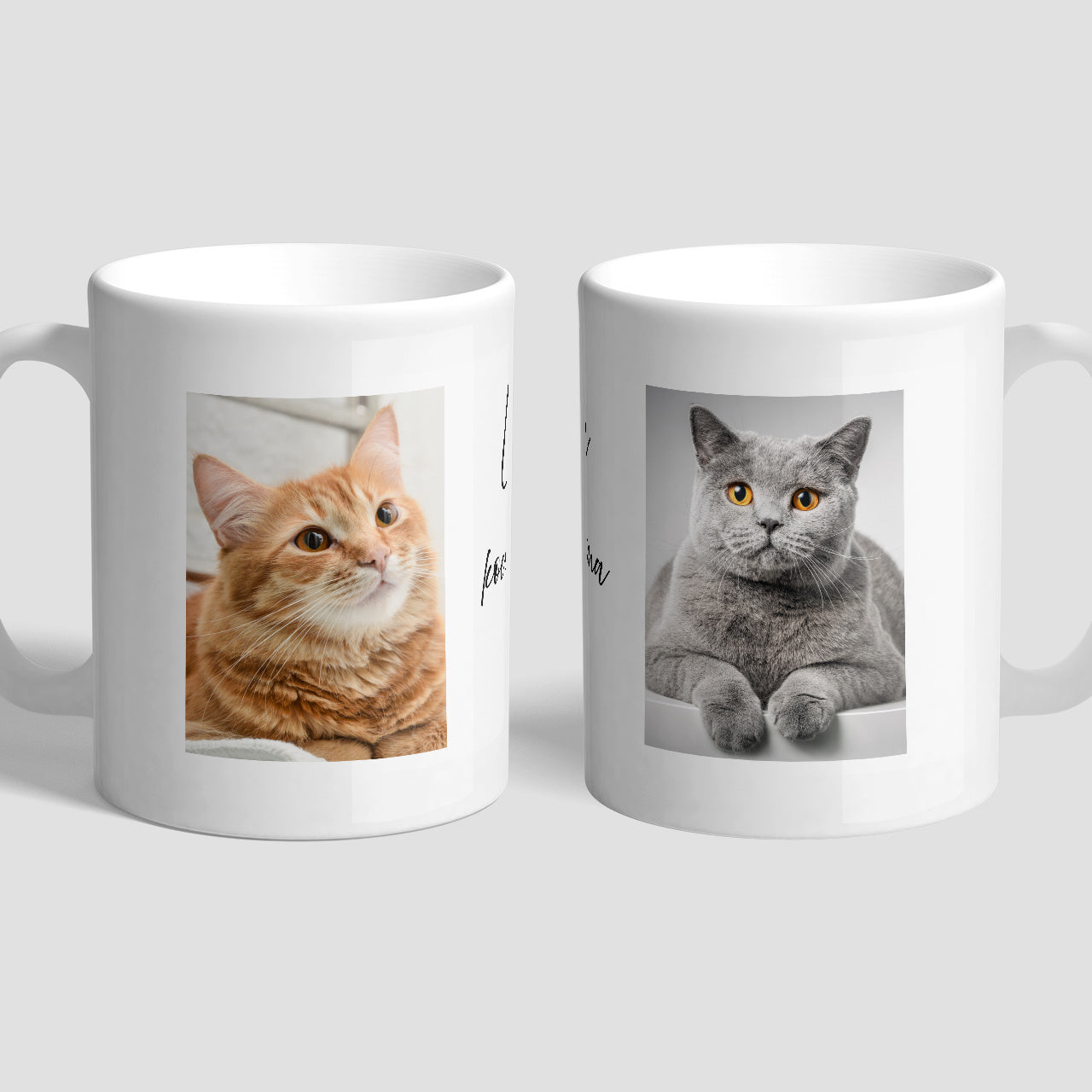 Fotokubek - prezent dla właścicielki kota