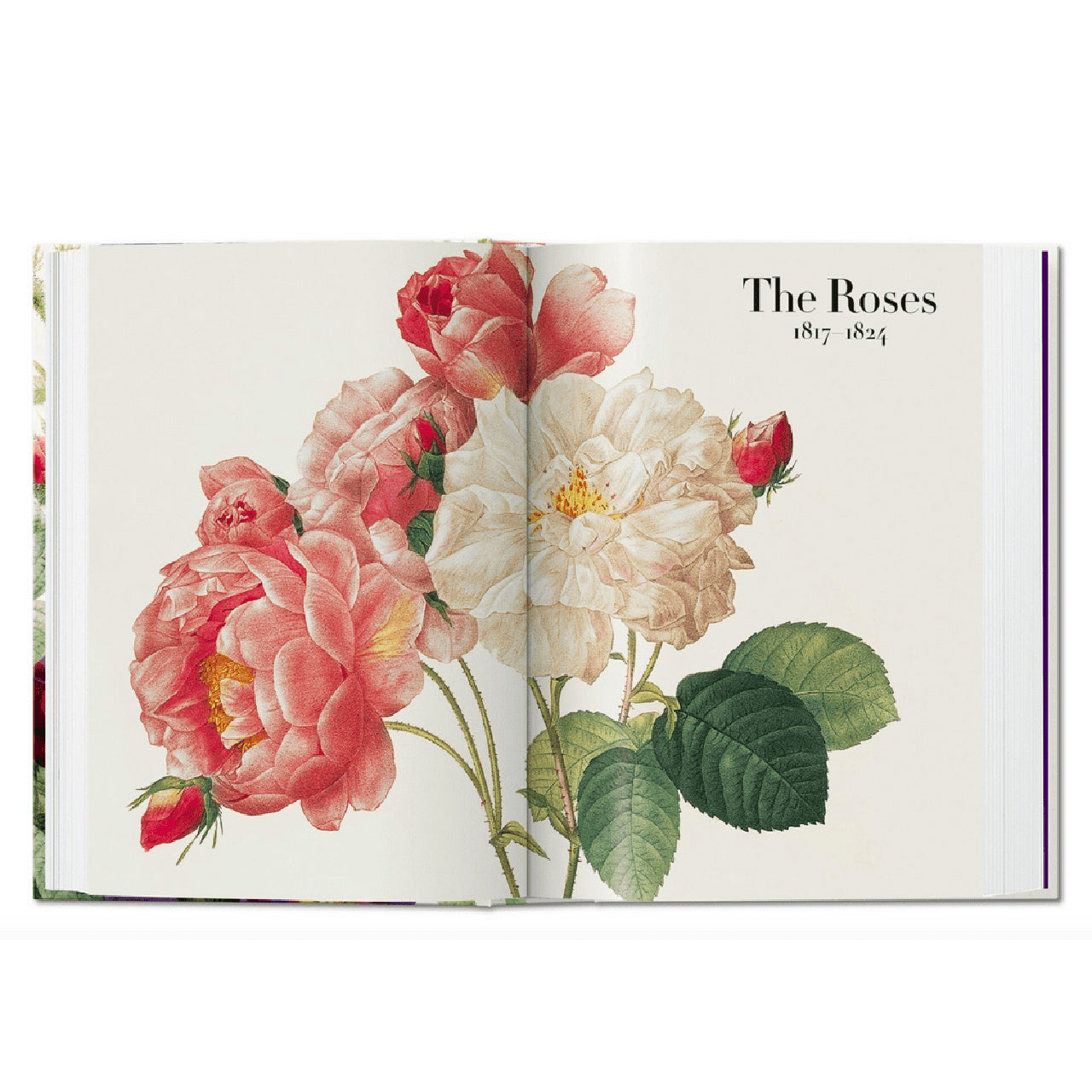 Książka The Book Of Flowers prezent dla artystki