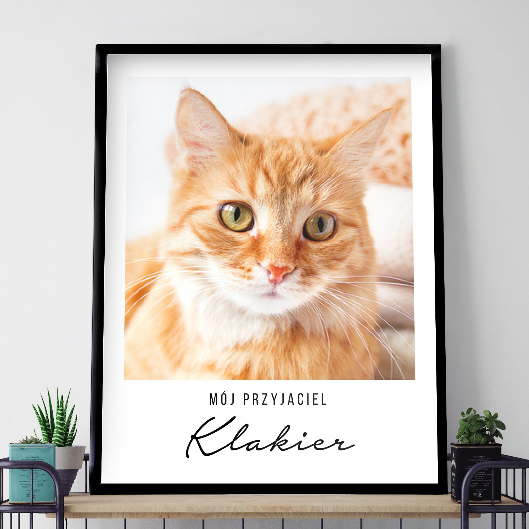 Plakat kota - ze zdjęciem