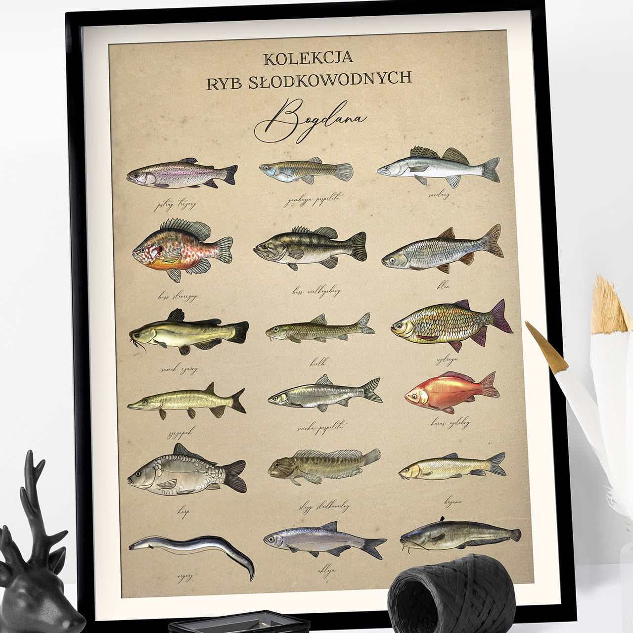 Plakat z rybami