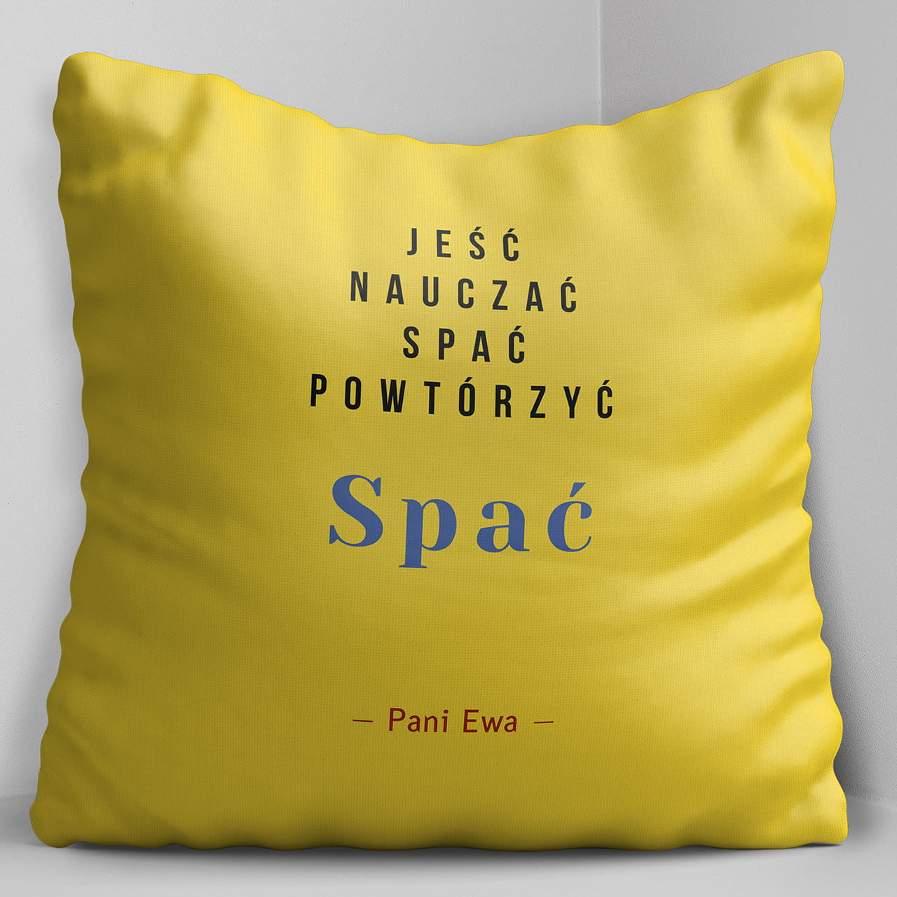 Duża poduszka ze śmiesznym nadrukiem na Dzień Nauczyciela prezent na dzień nauczyciela prezent dla nauczyciela