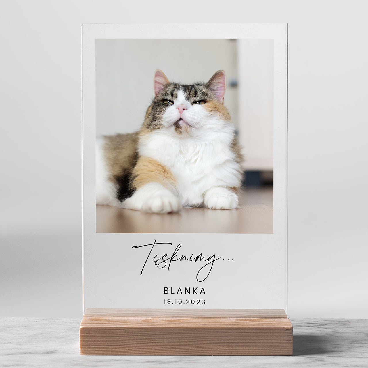 Personalizowana statuetka ze zdjęciem kota - pamiątka po kocie